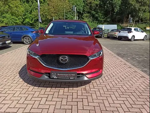 Used MAZDA CX-5 Petrol 2021 Ad 