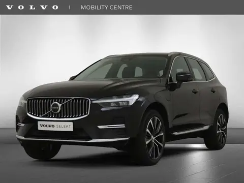 Annonce VOLVO XC60 Hybride 2023 d'occasion 