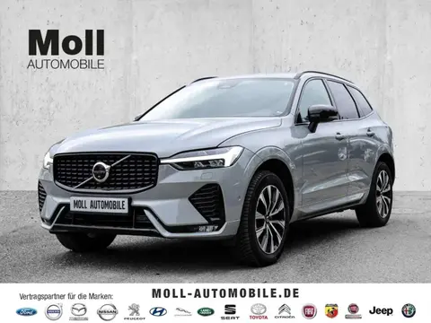 Annonce VOLVO XC60 Diesel 2023 d'occasion 