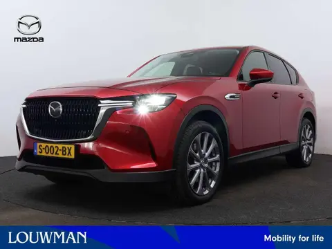 Annonce MAZDA CX-60 Hybride 2023 d'occasion 