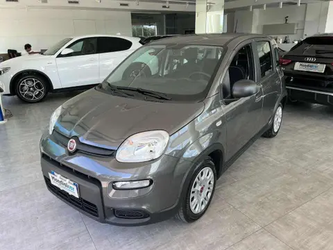 Annonce FIAT PANDA Hybride 2023 d'occasion 