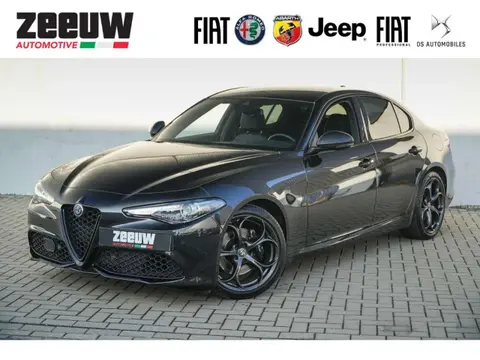 Used ALFA ROMEO GIULIA Petrol 2021 Ad 