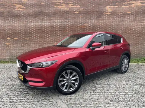 Used MAZDA CX-5 Petrol 2021 Ad 