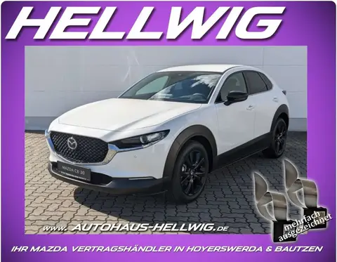 Used MAZDA CX-30 Petrol 2024 Ad Germany