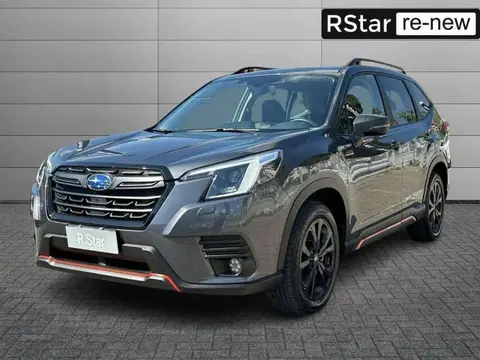 Used SUBARU FORESTER Hybrid 2023 Ad 