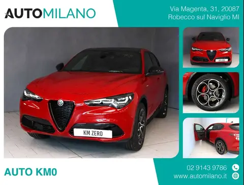 Annonce ALFA ROMEO STELVIO Diesel 2024 d'occasion 