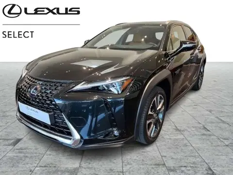 Used LEXUS UX Hybrid 2021 Ad 