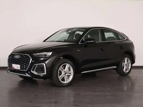 Used AUDI Q5 Hybrid 2024 Ad 