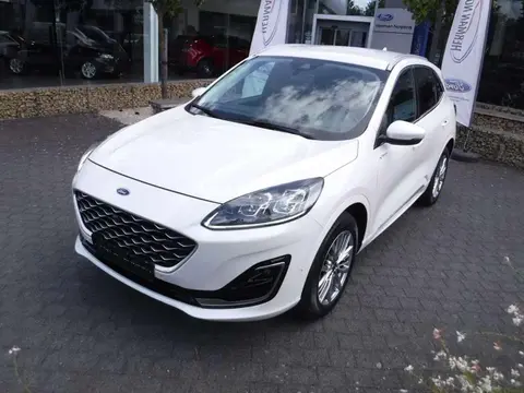 Used FORD KUGA Hybrid 2022 Ad Belgium