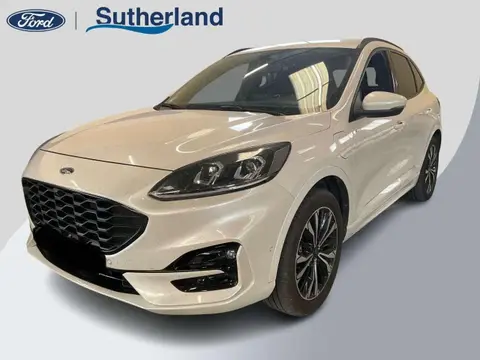 Used FORD KUGA Hybrid 2020 Ad 