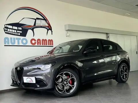 Used ALFA ROMEO STELVIO Petrol 2023 Ad 