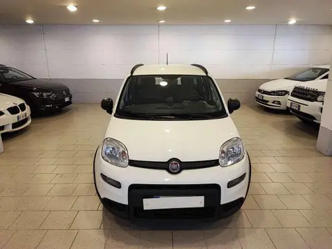 Annonce FIAT PANDA Hybride 2022 d'occasion 