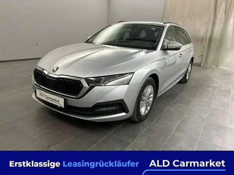 Used SKODA OCTAVIA Diesel 2020 Ad 