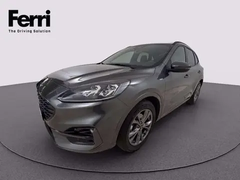 Used FORD KUGA Hybrid 2021 Ad 