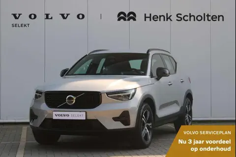 Used VOLVO XC40 Hybrid 2024 Ad 