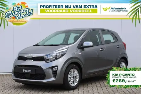 Used KIA PICANTO Petrol 2024 Ad 