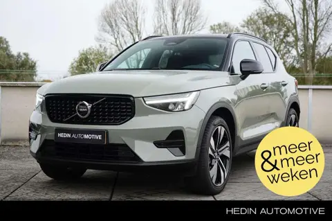 Used VOLVO XC40 Hybrid 2024 Ad 