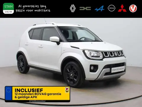 Used SUZUKI IGNIS Petrol 2020 Ad 