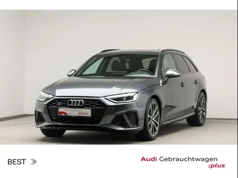 Annonce AUDI S4 Diesel 2022 d'occasion 