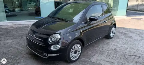 Used FIAT 500 Petrol 2023 Ad 