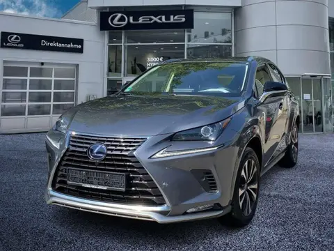 Annonce LEXUS NX Hybride 2020 d'occasion 