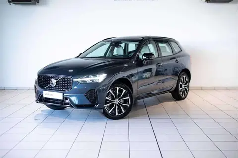 Annonce VOLVO XC60 Essence 2024 d'occasion 