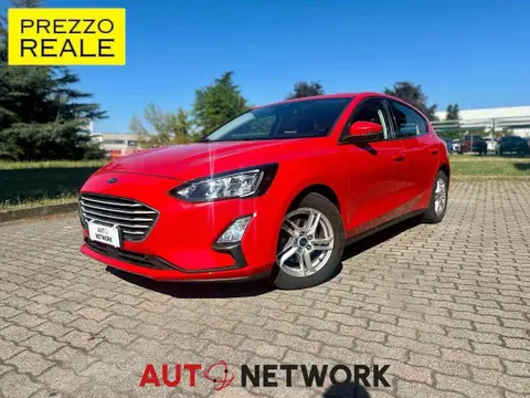 Used FORD FOCUS Diesel 2020 Ad 