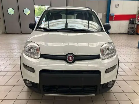 Used FIAT PANDA Petrol 2020 Ad 