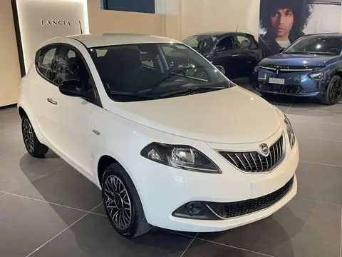 Used LANCIA YPSILON Hybrid 2024 Ad 