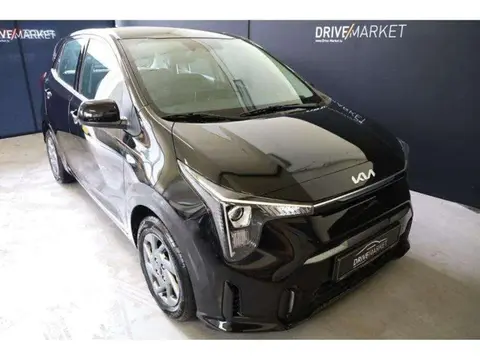 Used KIA PICANTO Petrol 2024 Ad 