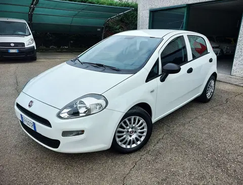 Annonce FIAT PUNTO Diesel 2018 d'occasion 