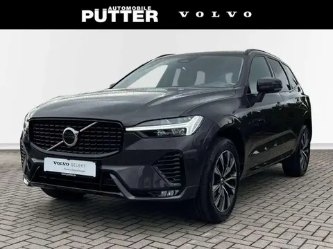 Used VOLVO XC60 Petrol 2023 Ad 