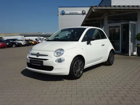 Used FIAT 500 Petrol 2019 Ad 