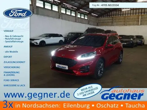 Used FORD KUGA Diesel 2024 Ad 