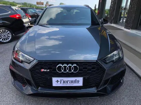 Used AUDI RS4 Petrol 2018 Ad 