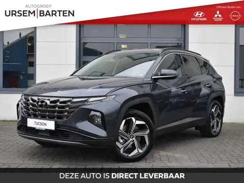 Annonce HYUNDAI TUCSON Hybride 2024 d'occasion 