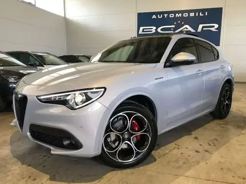 Used ALFA ROMEO STELVIO Diesel 2020 Ad 