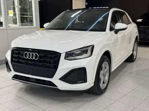 Annonce AUDI Q2 Essence 2023 d'occasion 