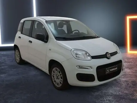 Annonce FIAT PANDA Essence 2020 d'occasion 