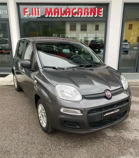 Annonce FIAT PANDA Essence 2018 d'occasion 