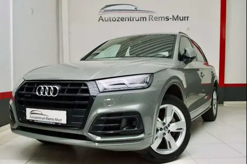 Used AUDI Q5 Diesel 2019 Ad Germany