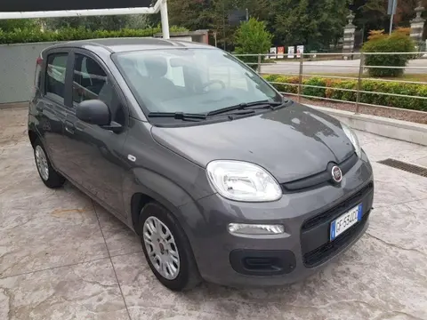 Used FIAT PANDA Hybrid 2021 Ad 