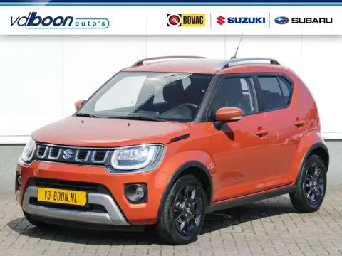 Annonce SUZUKI IGNIS Essence 2024 d'occasion 