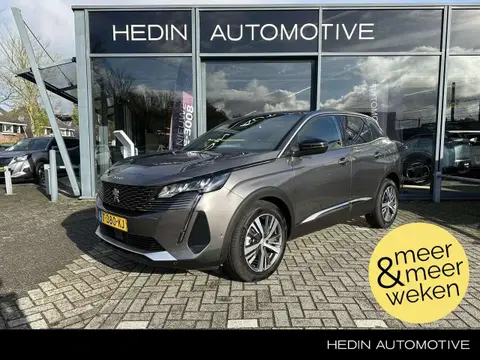 Used PEUGEOT 3008 Petrol 2023 Ad 