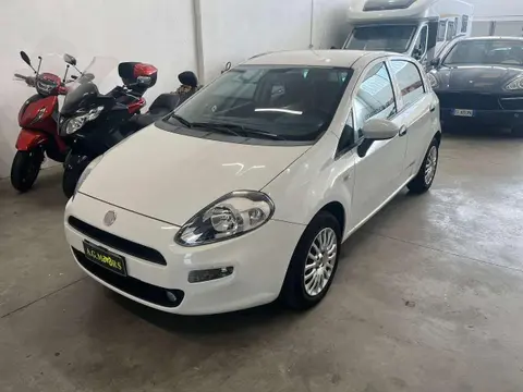 Used FIAT PUNTO Petrol 2017 Ad 