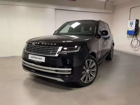 Used LAND ROVER RANGE ROVER Hybrid 2024 Ad 