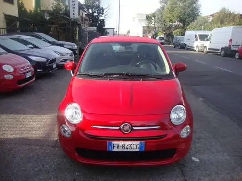 Used FIAT 500 Petrol 2019 Ad 