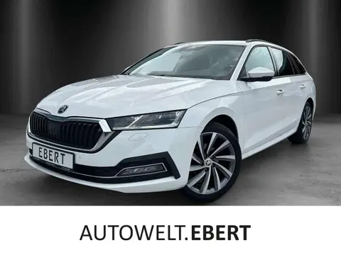 Annonce SKODA OCTAVIA Diesel 2021 d'occasion 