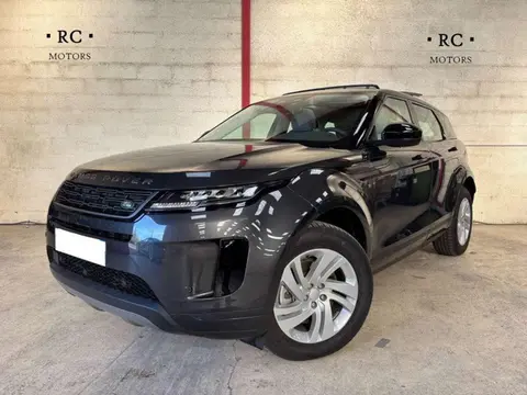 Annonce LAND ROVER RANGE ROVER EVOQUE  2024 d'occasion 