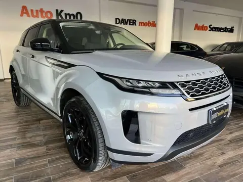 Used LAND ROVER RANGE ROVER EVOQUE Hybrid 2020 Ad 